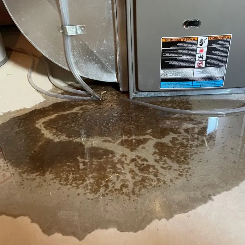 Pipe Burst and Leak Restoration in Shannondale, WV
